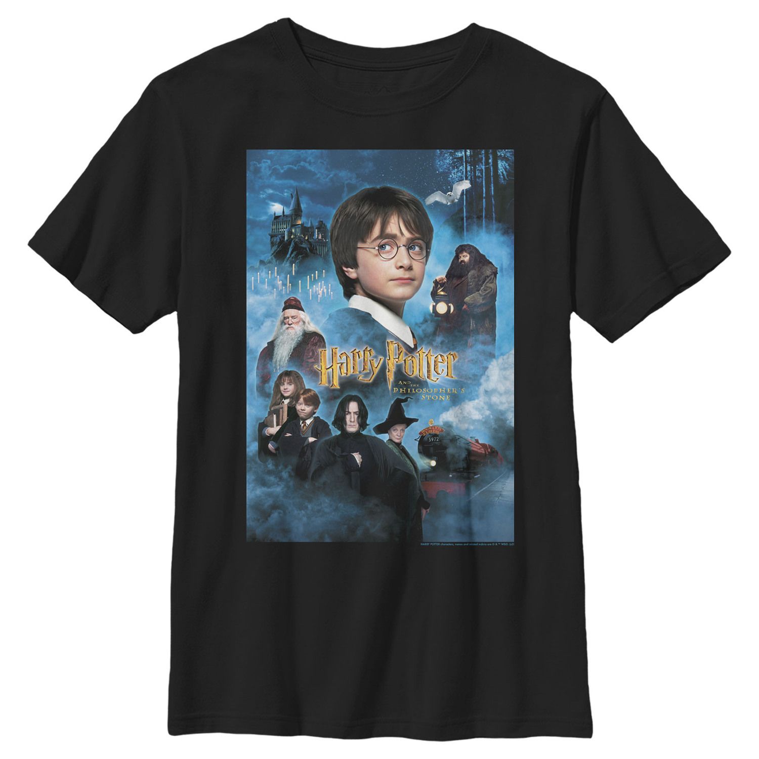 Image for Harry Potter Boys 8-20 And The Philosopher's Stone Poster Graphic Tee at Kohl's.