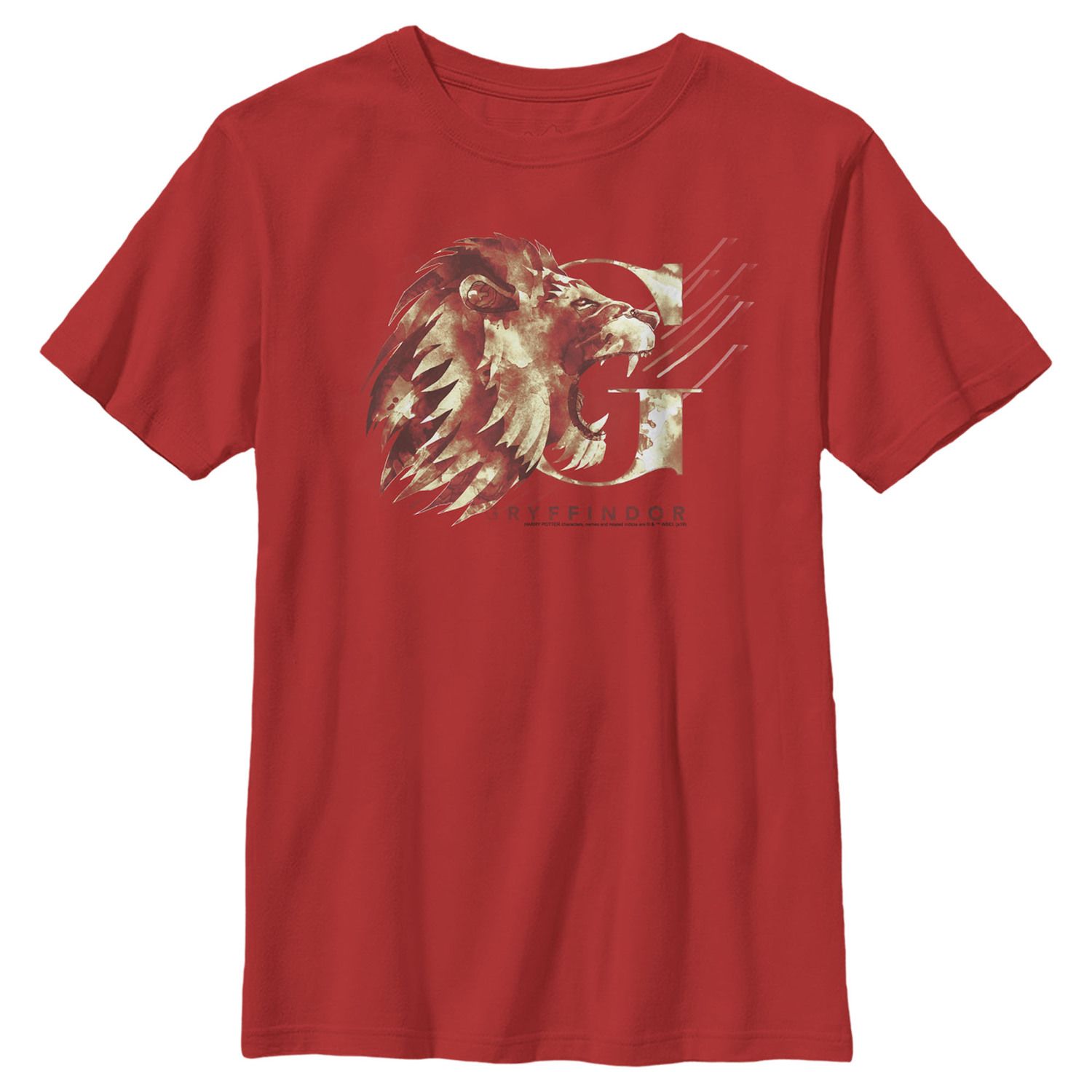 Image for Harry Potter Boys 8-20 Gryffindor House Watercolor Graphic Tee at Kohl's.