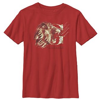 Boys 8-20 Harry Potter Gryffindor House Watercolor Graphic Tee