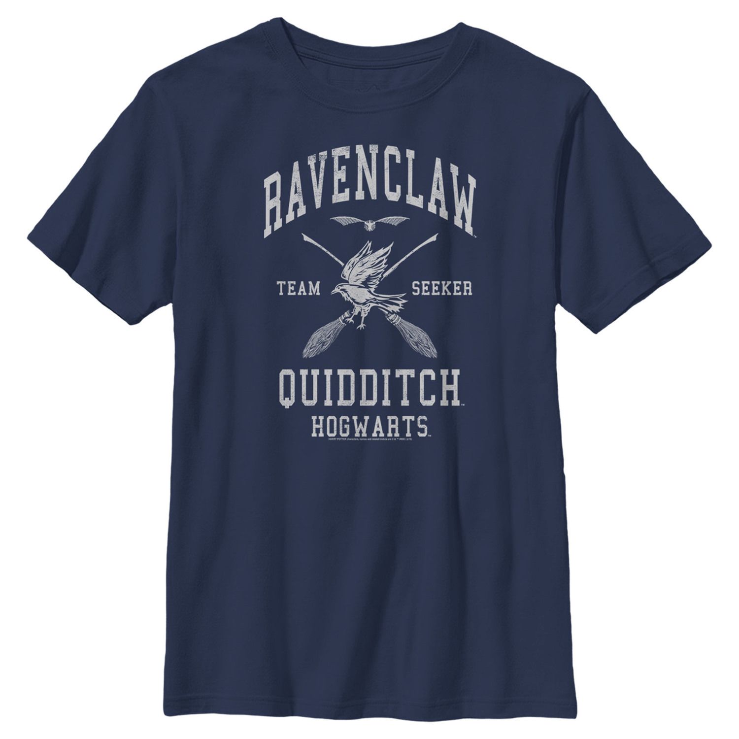 Image for Harry Potter Boys 8-20 Ravenclaw Bold Team Seeker Graphic Tee at Kohl's.