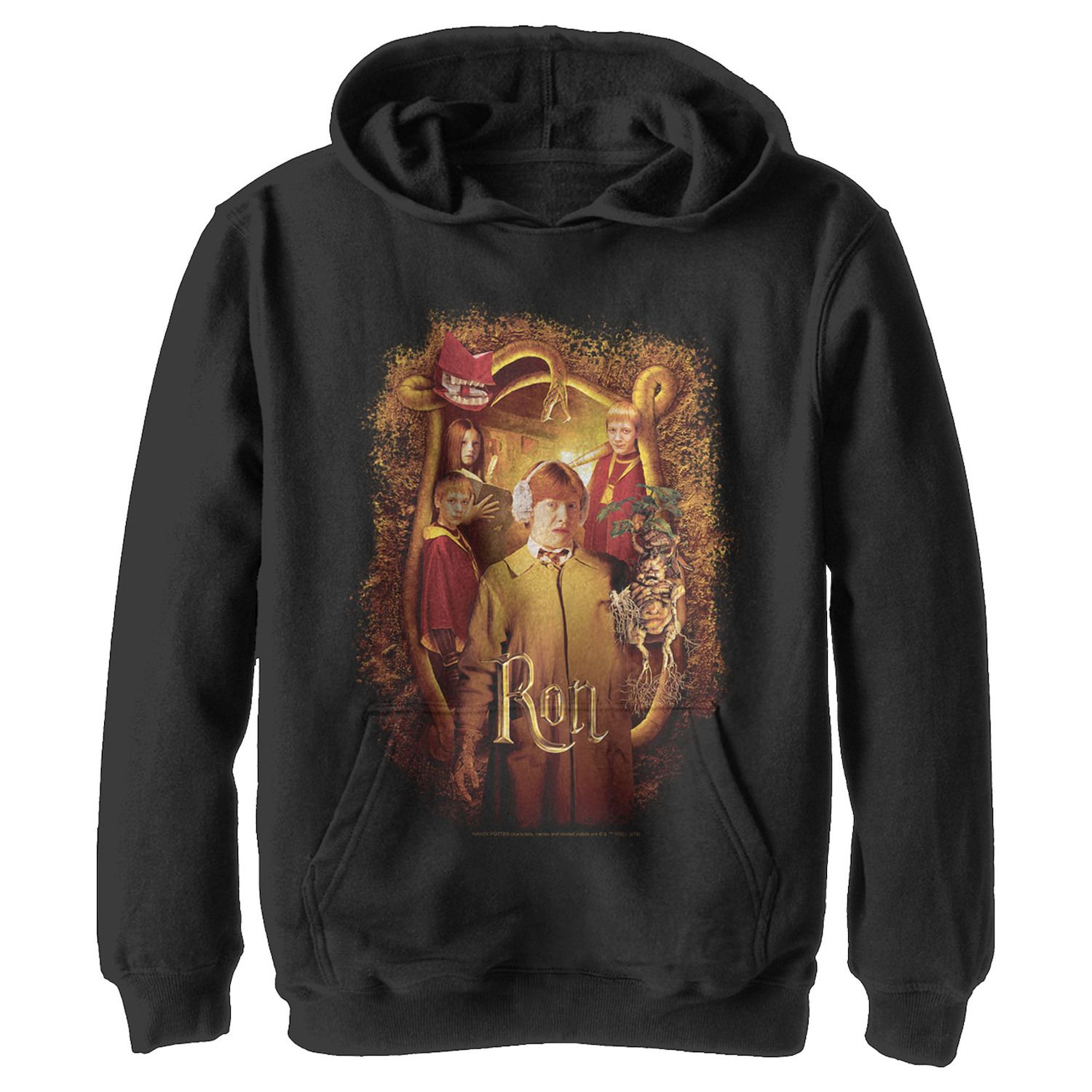 Image for Harry Potter Boys 8-20 And The Chamber Of Secrets Ron Portrait Pullover Graphic Hoodie at Kohl's.