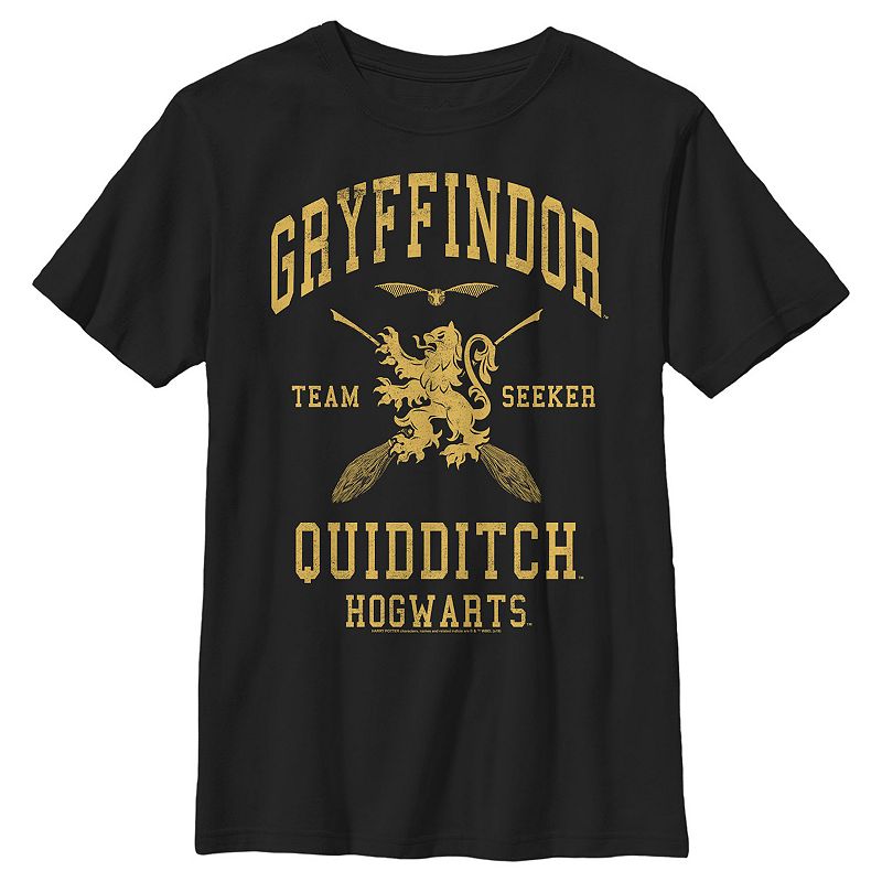 Boys 8-20 Gryffindor Quidditch Seeker Graphic Tee, Boys, Size: XS, Black