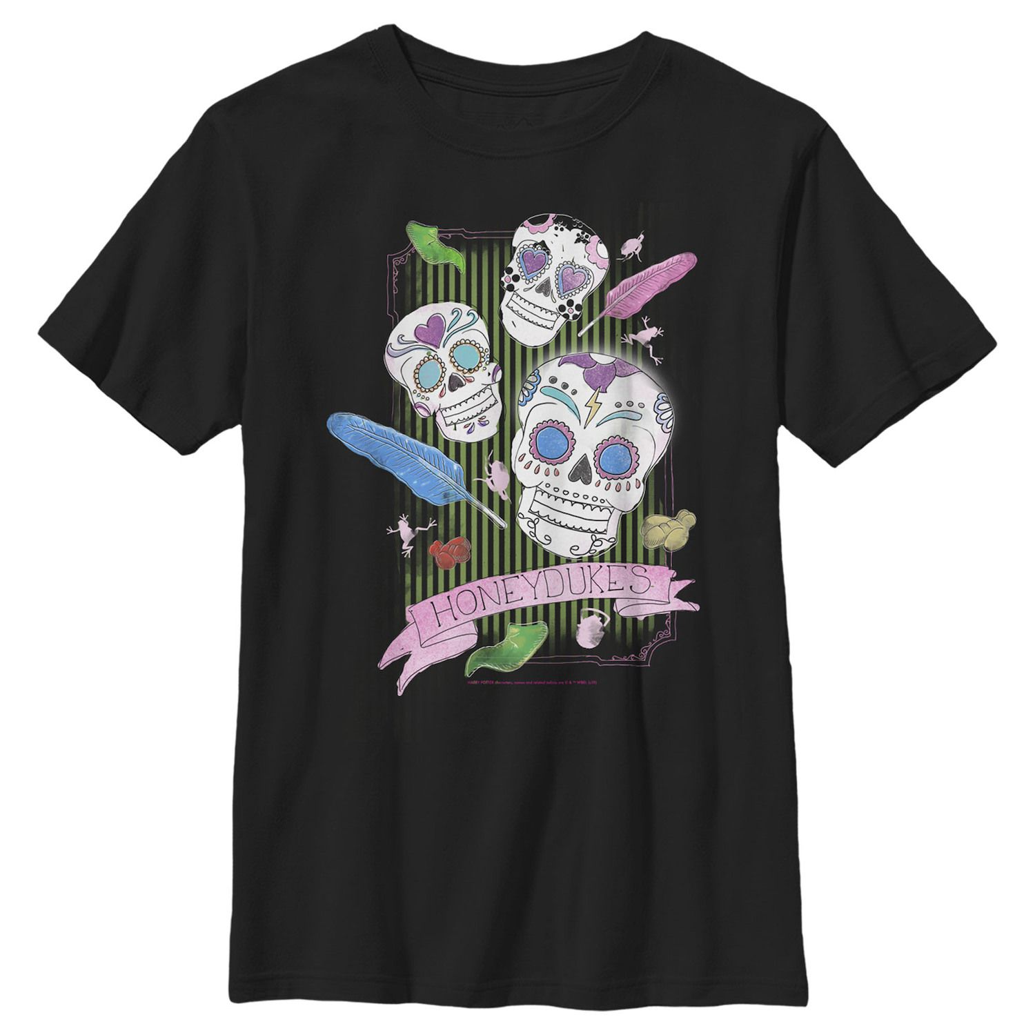 Image for Harry Potter Boys 8-20 Candy Skulls Graphic Tee at Kohl's.
