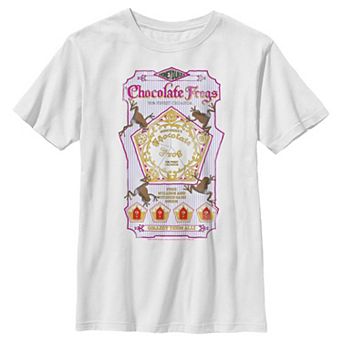 Boys 6-20 Harry Potter Chocolate Frogs Graphic Tee