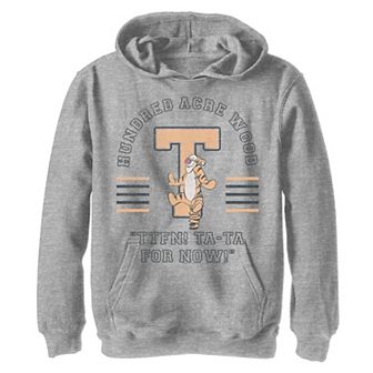 Disney's Winnie The Pooh Boys 8-20 Tigger Ta-Ta For Now Pullover Graphic Hoodie
