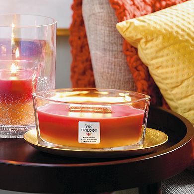 WoodWick Autumn Harvest Trilogy Ellipse Candle