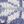Blue Multi Print