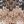 Neutral Print