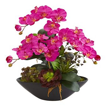nearly natural Artificial Phalaenopsis Orchid Succulent Floral Arrangement