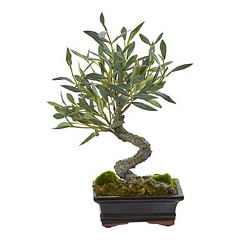 nearly natural Artificial Mini Olive Bonsai Tree