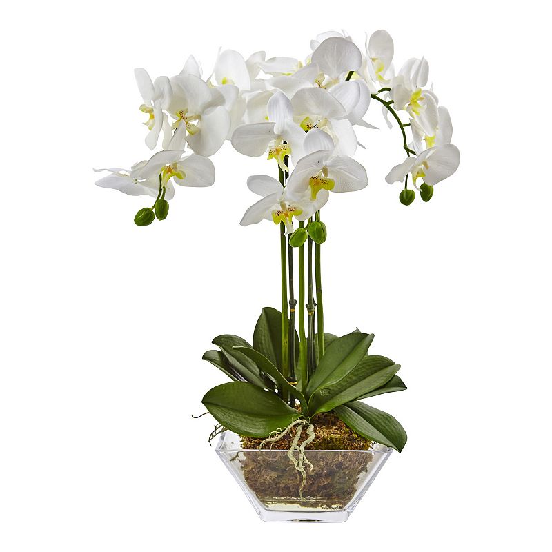Nearly Natural Triple Phalaenopsis Orchid in Glass Vase
