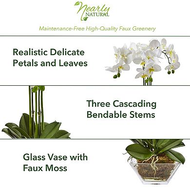 nearly natural Artificial Triple Phalaenopsis Orchid Floral Arrangement