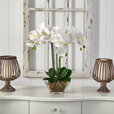 nearly natural Artificial Triple Phalaenopsis Orchid Floral Arrangement