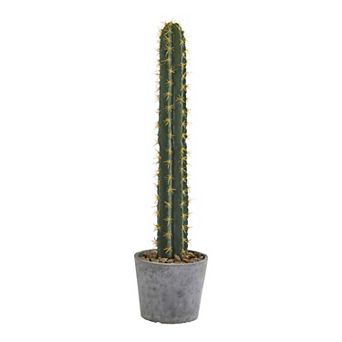 nearly natural Artificial Cactus Plant