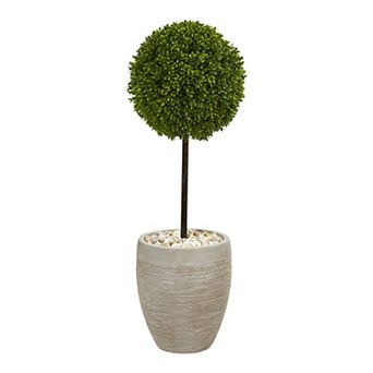 nearly natural Artificial Boxwood Ball Topiary Indoor / Outdoor Tree