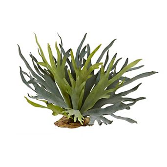 nearly natural 21 in Staghorn Fern 2 pc Set