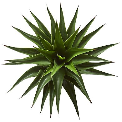 nearly natural 28-in. Agave Artificial Plant