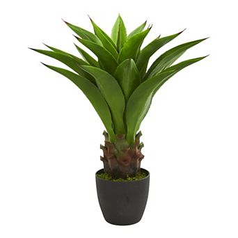 nearly natural 30 in Agave Artificial Plant