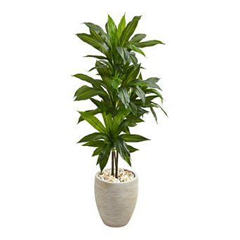 nearly natural 4-ft. Dracaena Artificial Plant
