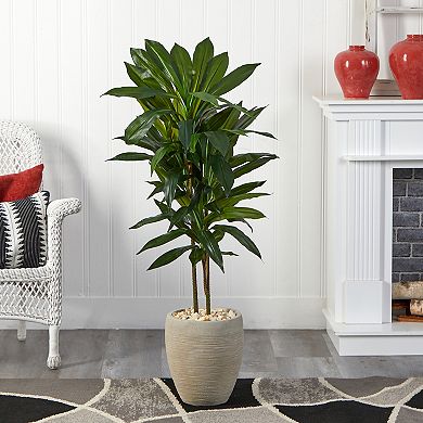 nearly natural 4-ft. Dracaena Artificial Plant