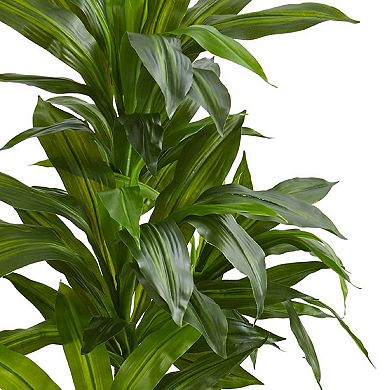 nearly natural 4-ft. Dracaena Artificial Plant