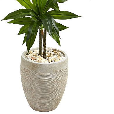 nearly natural 4-ft. Dracaena Artificial Plant