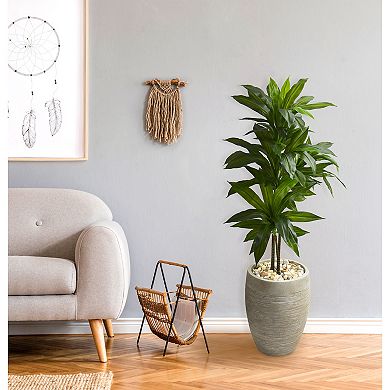 nearly natural 4-ft. Dracaena Artificial Plant