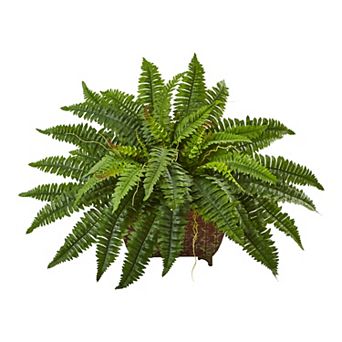 nearly natural Artificial Boston Fern