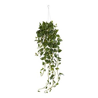 nearly natural Pothos Hanging Basket Artificial Plant