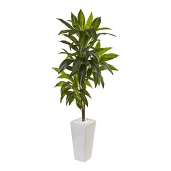 nearly natural 3-ft. Dracaena Artificial Plant