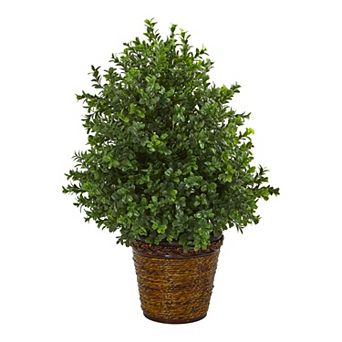 nearly natural 23 in Sweet Grass Artificial Plant