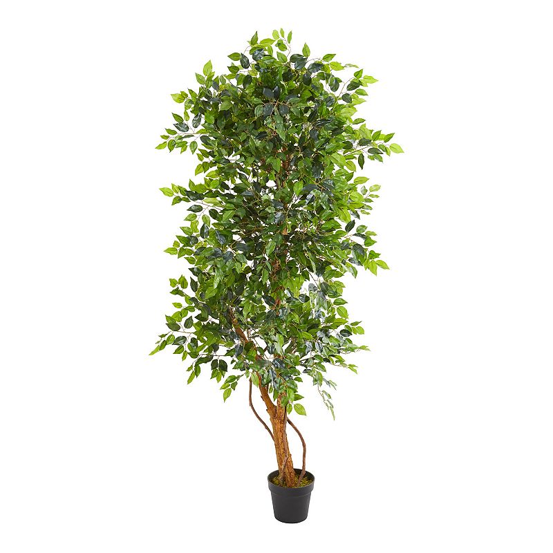 nearly natural 6-ft. Elegant Ficus Artificial Tree, Green