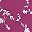 Raspberry Floral