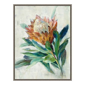 Amanti Art Protea Framed Canvas Wall Art