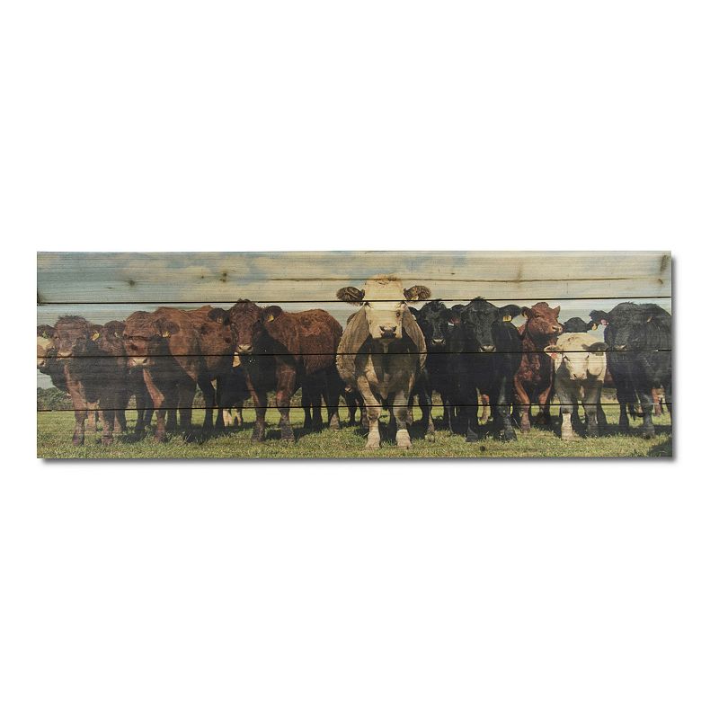 Gallery 57 Cow Herd Wood Wall Art, Multicolor, 12X36