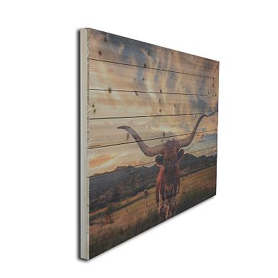 Gallery 57 Longhorn Wood Wall Art