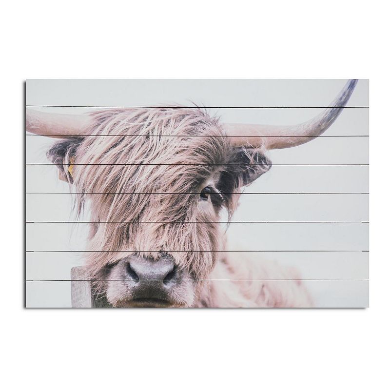 Gallery 57 Highland Cow Wood Wall Art, White, 24X36