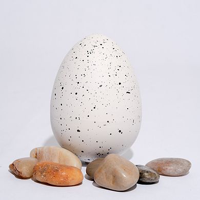 Protocol Hatch Me if You Can! Hatching Dragon Egg