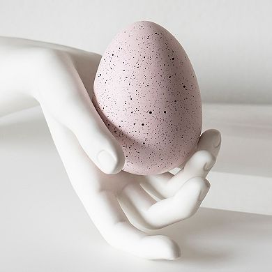 Protocol Hatch Me if You Can! Hatching Dragon Egg