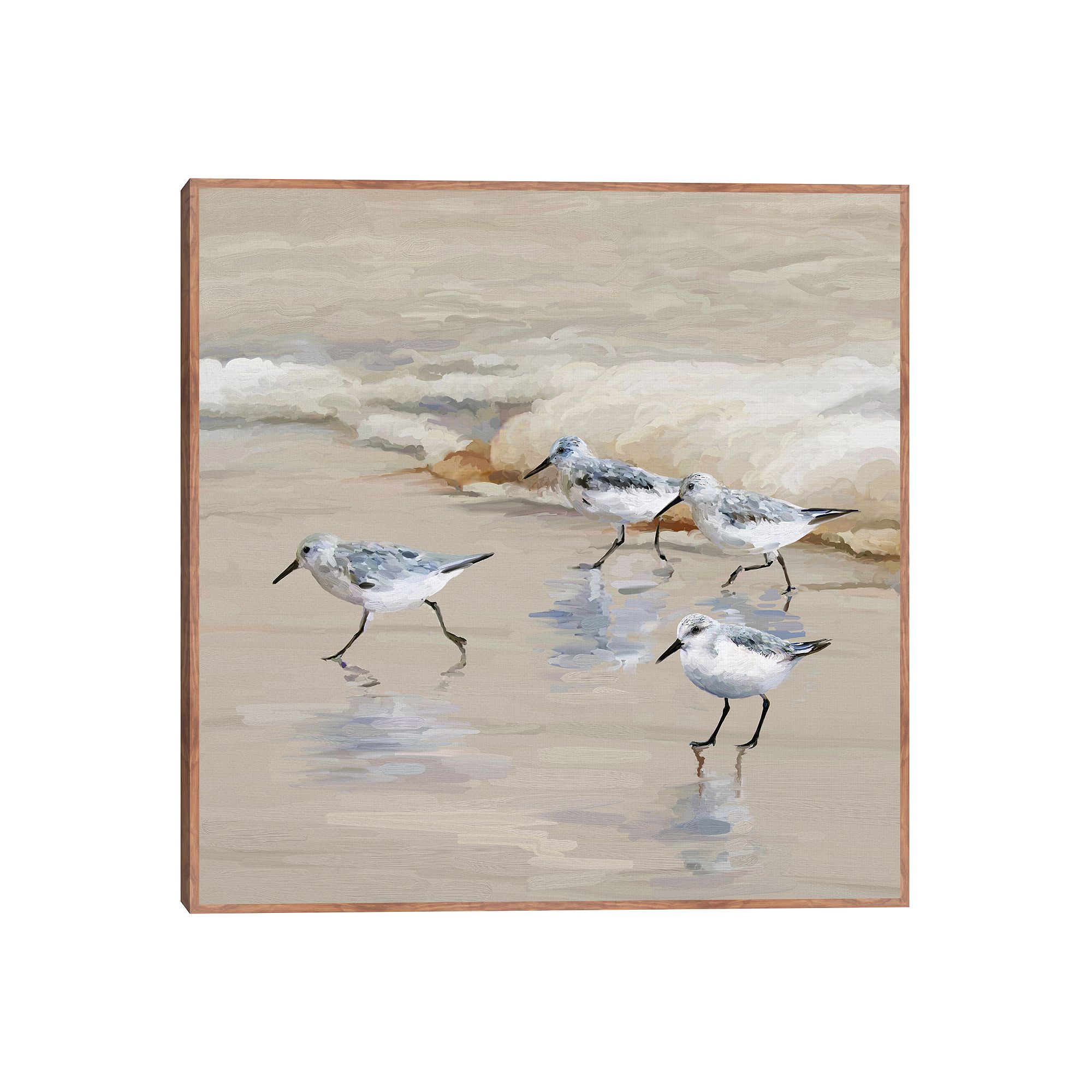 Fine Art Canvas Sandpiper Beach I Amber Wall Art, Multi
