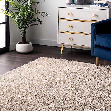 nuLOOM Kara Solid Shag Area Rug