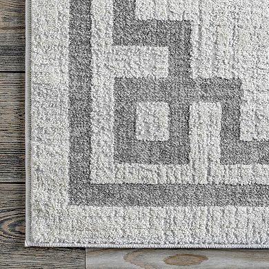 nuLOOM Imani Border Area Rug