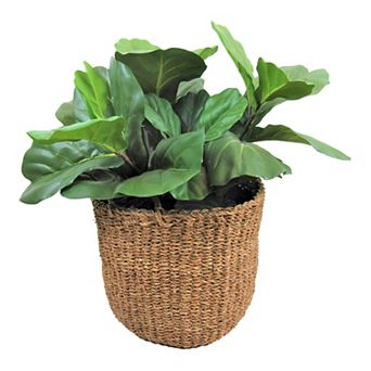 Artificial Deluxe Fig Floor Plant