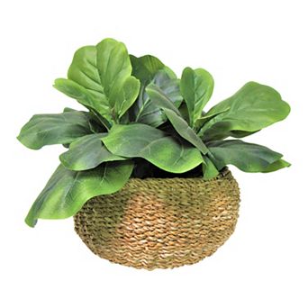 Artificial Fig Plant