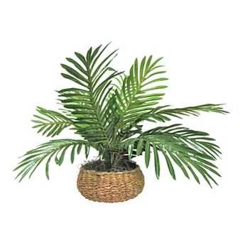 Artificial Palm Plant