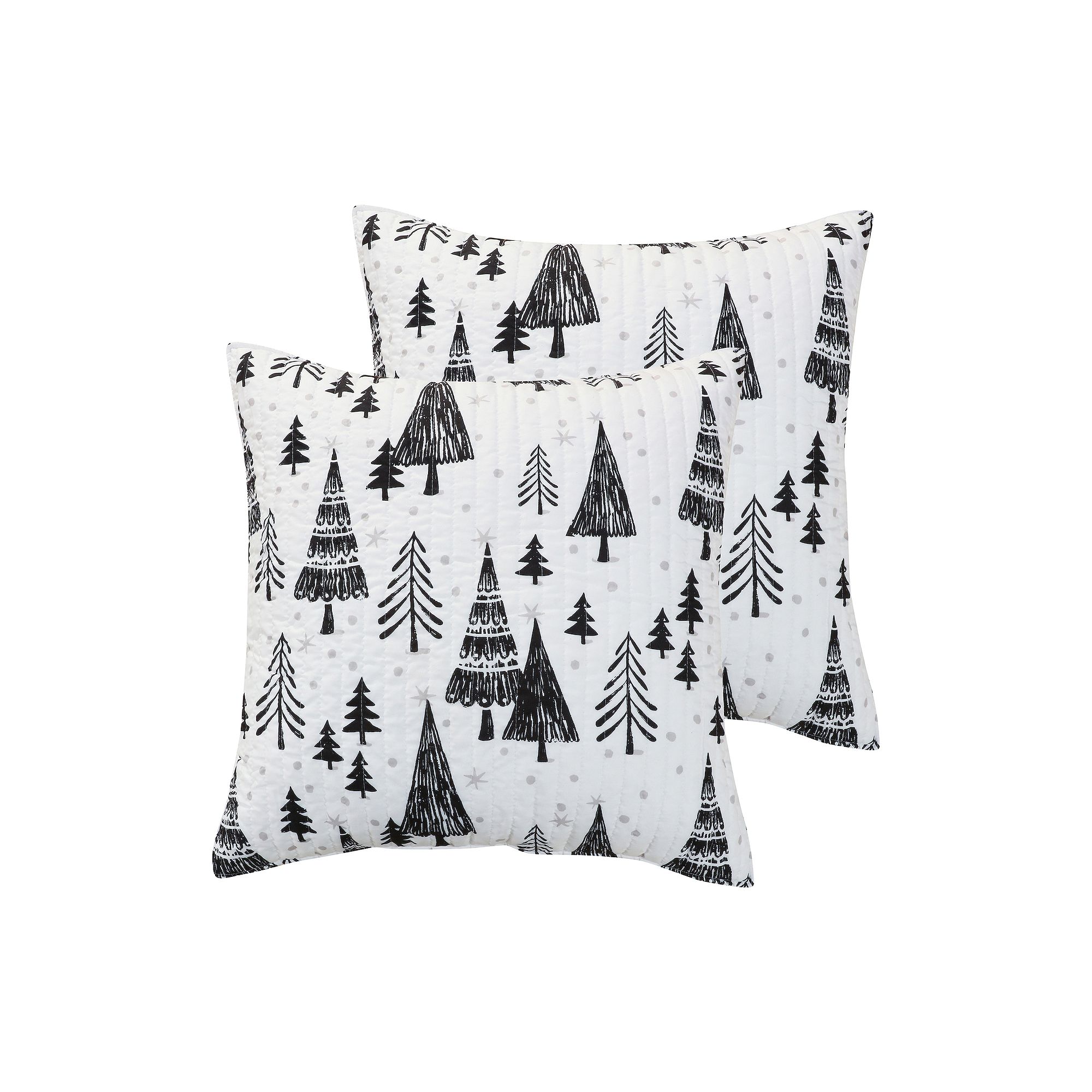 Levtex Home Northern Star 2-pack Euro Shams, Black