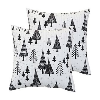 Levtex Home Northern Star 2-pack Euro Shams