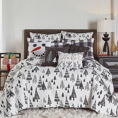 Levtex Home Northern Star 2-pack Euro Shams