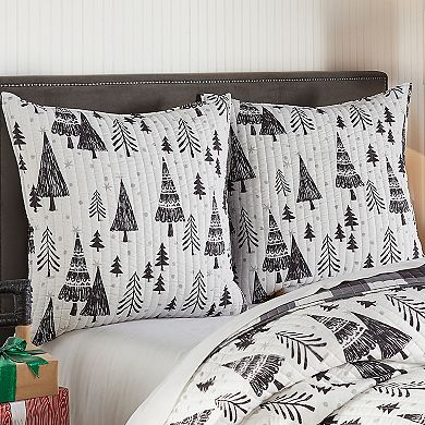 Levtex Home Northern Star 2-pack Euro Shams