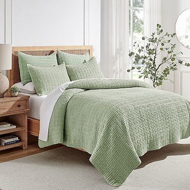 Levtex Mills Waffle Blush Quilt Set